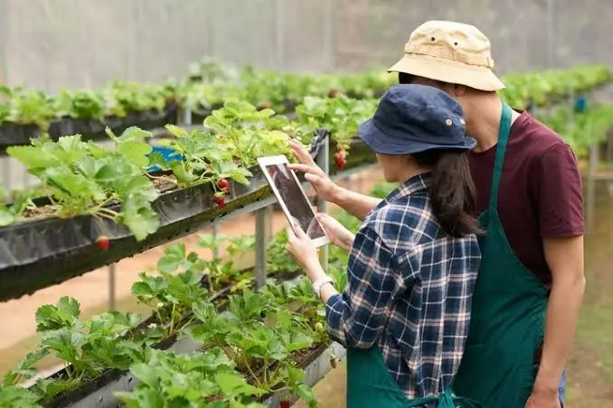 Agricultura-inteligente-Tecnologia-para-el-campo
