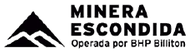 Cliente Escondida